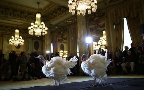 The turkeys were renamed Peas and Carrots by the White House - Credit:  Win McNamee/Getty