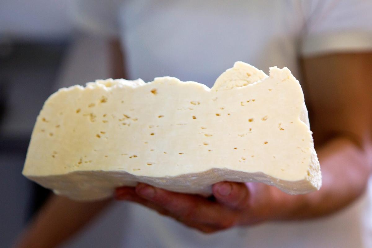 La production d’un des plus vieux fromages de France s’est arrêtée à cause de la sécheresse