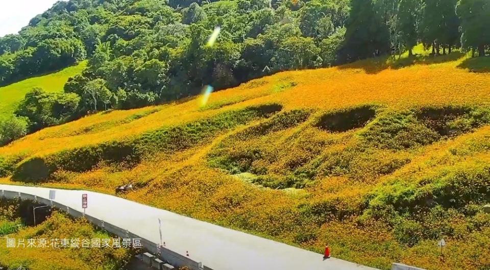 花蓮赤科山金針花海，一日遊跟二日遊玩法推薦