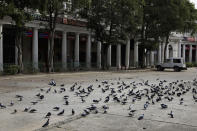Pigeons at a parking lot on the first day of a lockdown amid concerns over the spread of Coronavirus, in New Delhi, India, Monday, March 23, 2020. Authorities have gradually started to shutdown much of the country of 1.3 billion people to contain the outbreak. For most people, the new coronavirus causes only mild or moderate symptoms. For some it can cause more severe illness. (AP Photo/Manish Swarup)
