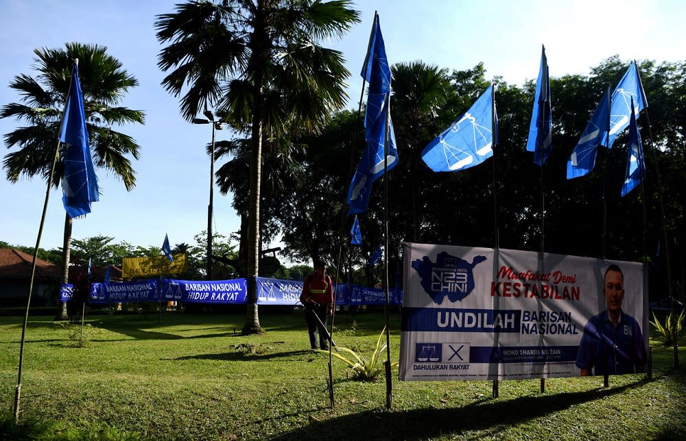 Barisan Nasional flags are seen along the road ahead of the Chini by-election in Pekan June 23, 2020. ― Bernama pic