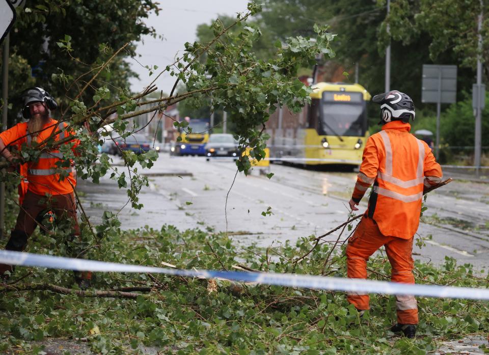 Workers begin to remove fallen tree branches after strong winds brought by Storm Lilian brought down trees blocking roads and tram routes in Manchester (REUTERS)