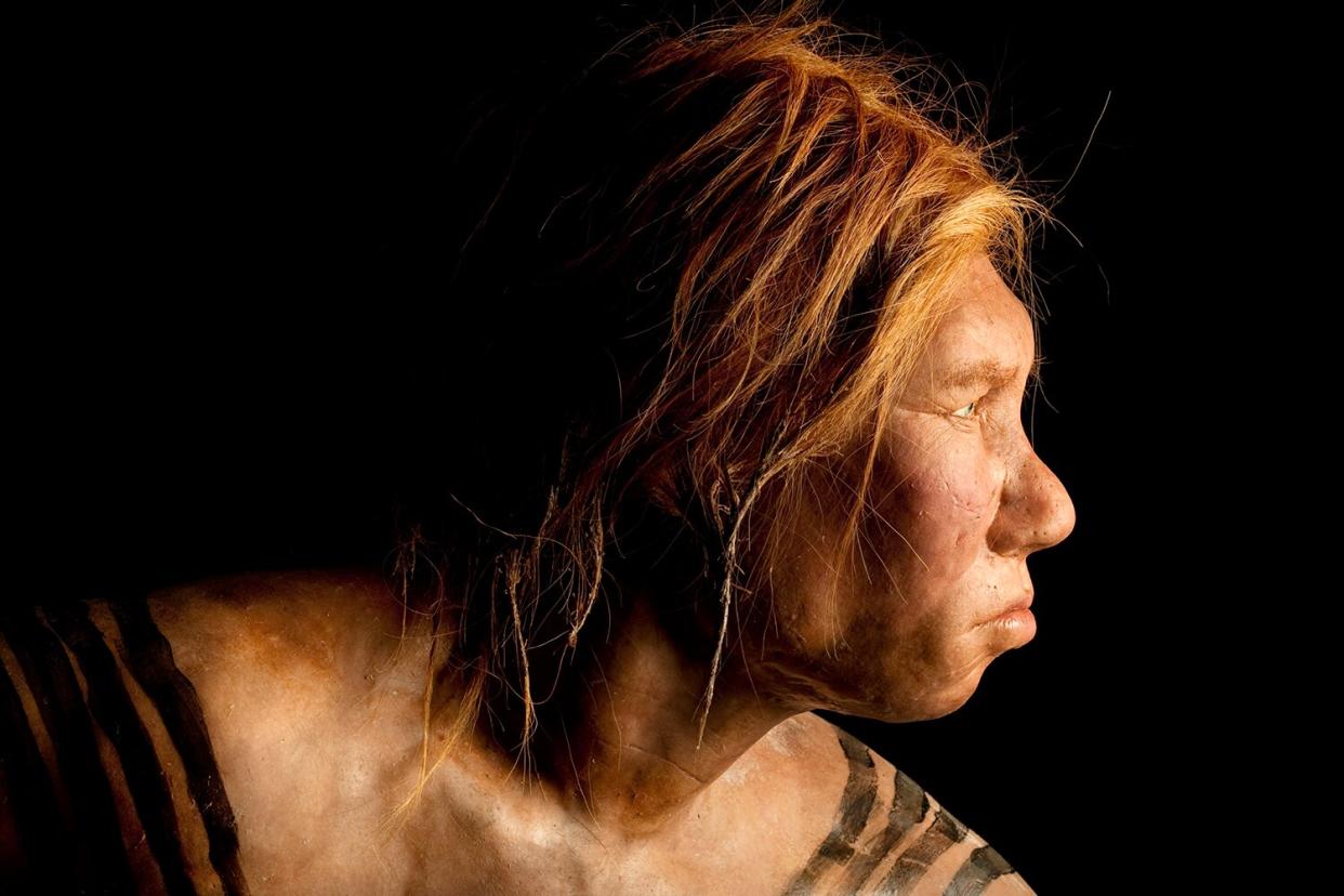 The Neanderthal woman was re-created and built by Dutch artists Andrie and Alfons Kennis.