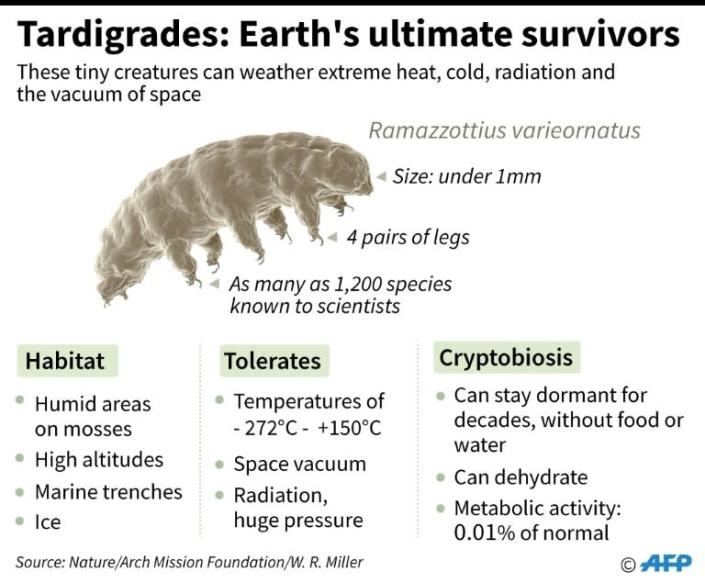 Factfile on the water bear, or tardigrades (AFP Photo/Alain BOMMENEL, Kun TIAN, Martin MEGINO)