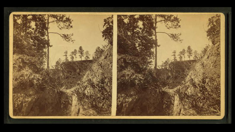 Two side-by-side black-and-white images suitable for viewing with a 19th-century stereoscope show a steep gorge topped by pine trees.