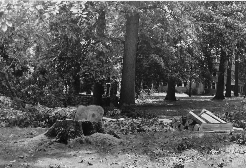 Akron developers cut down trees in September 1961 to make way for Five Points Shopping Center.