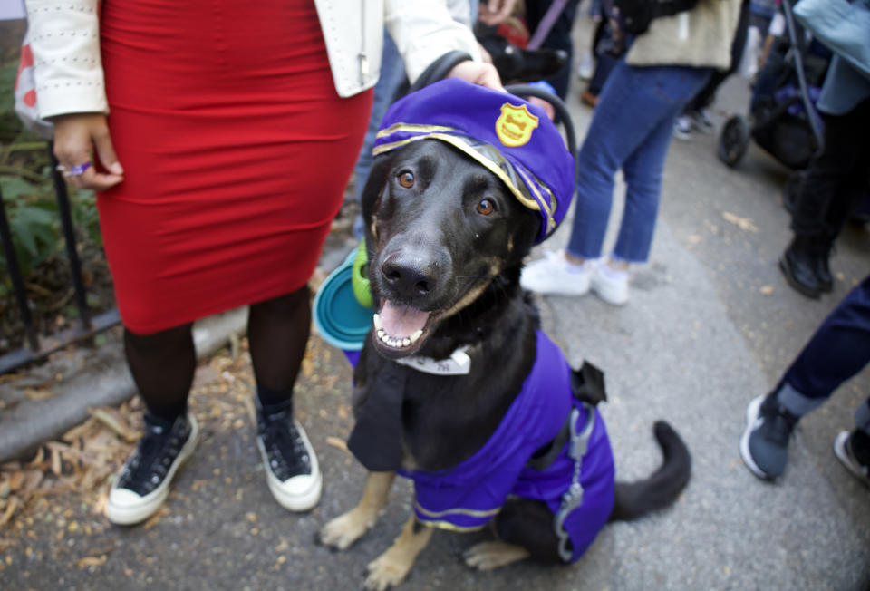 For her Make-A-Wish, Zoey Henry wanted to learn how to take photos of pups with the Dogist. The duo went to the Tompkins Square Park Halloween dog parade where Zoey learned quickly how to engage with dogs and their humans to snap great photos. (Courtesy Zoey Henry)