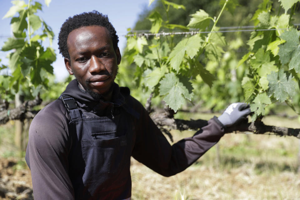 Yahya Adams, 21 years-old, of Ghana, poses for a picture at the Nardi vineyard in Casal del Bosco, Italy, Friday, May 28, 2021. It is a long way, and a risky one. But for this group of migrants at least it was worth the effort. They come from Ghana, Togo, Sierra Leone, Pakistan, Guinea Bissau, among other countries. They all crossed the Sahara desert, then from Libya the perilous Mediterranean Sea until they reached Italian shores, now they find hope working in the vineyards of Tuscany to make the renown Brunello wine. (AP Photo/Gregorio Borgia)