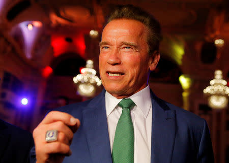 FILE PHOTO: Former California Governor Arnold Schwarzenegger attends the Austrian World Summit on climate change in Vienna, Austria, June 20, 2017. REUTERS/Heinz-Peter Bader/File Photo