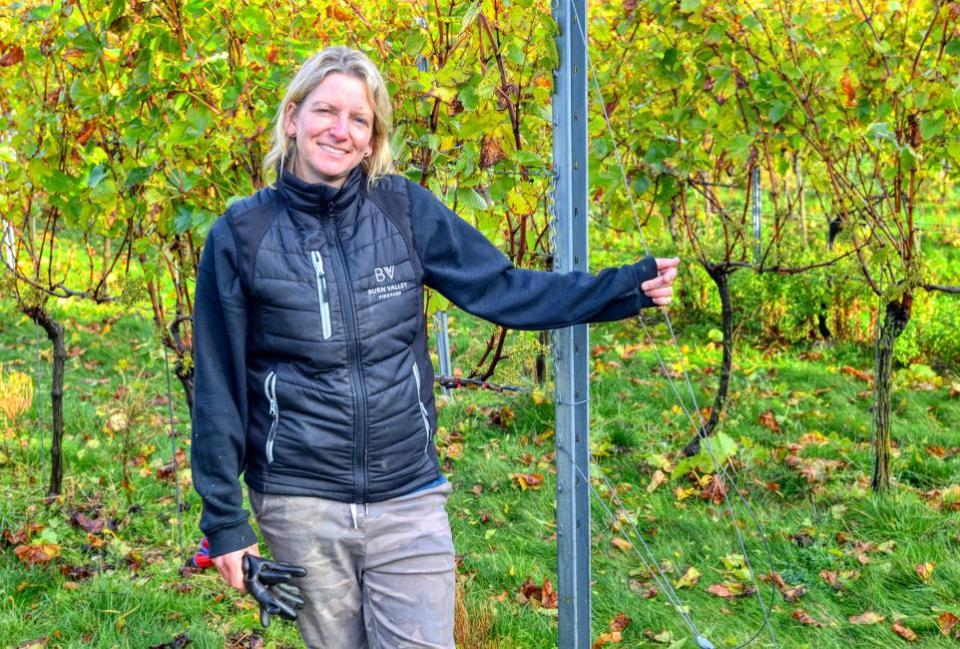 Eastern Daily Press: Laura Robinson says she needs to live beside her vineyard to tend to her 12 acres of vines