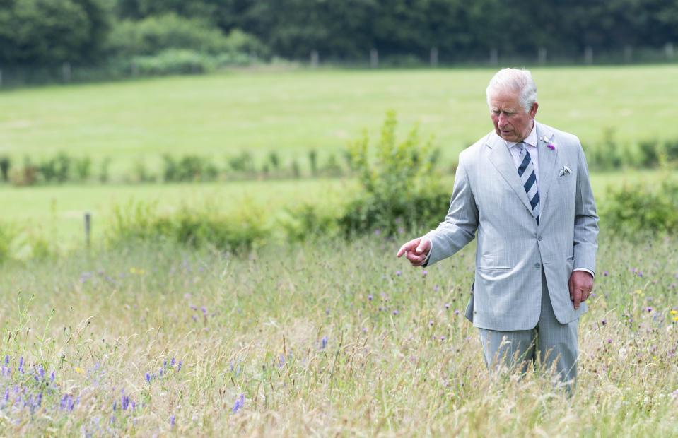 HAYWARDS HEATH, ENGLAND - JULY 10: Prince Charles, Prince of Wales walks in the Coronation Meadows, an initiative he launched in 2012 to mark the 60th anniversary of The Queens Coronation during an official visit at Millenium Seed Bank on July 10, 2019 in Haywards Heath, England. (Photo by Mark Cuthbert/UK Press via Getty Images)