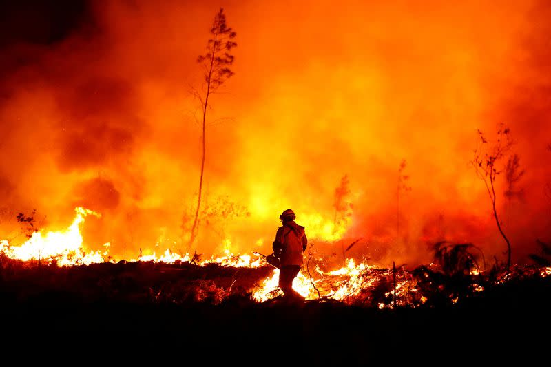 Wildfires in southwestern France