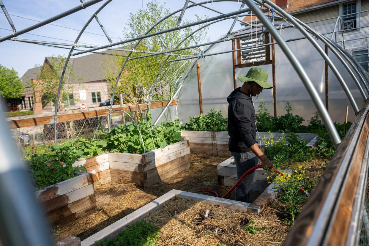 Ishmael Ewing, a junior at Ohio State University studying agriculture science education, waters the plants at Franklinton Gardens. Depending on how the next month or so shake out, this summer has the potential to be an average one or a real scorcher, experts say.