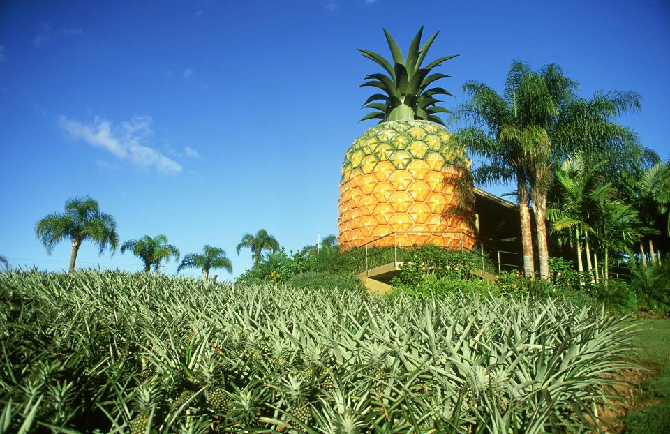 The Big Pineapple (Bathurst, South Africa)