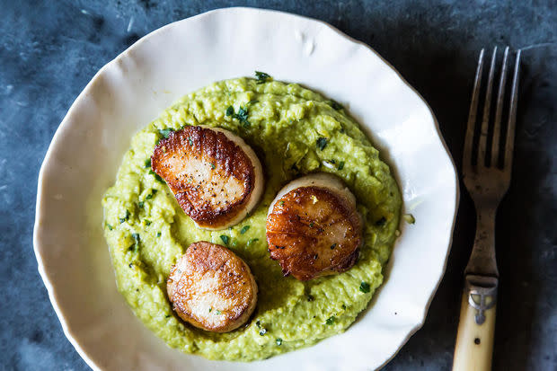 Seared Sea Scallops with Gingered Pea Puree and Cilantro Gremolata