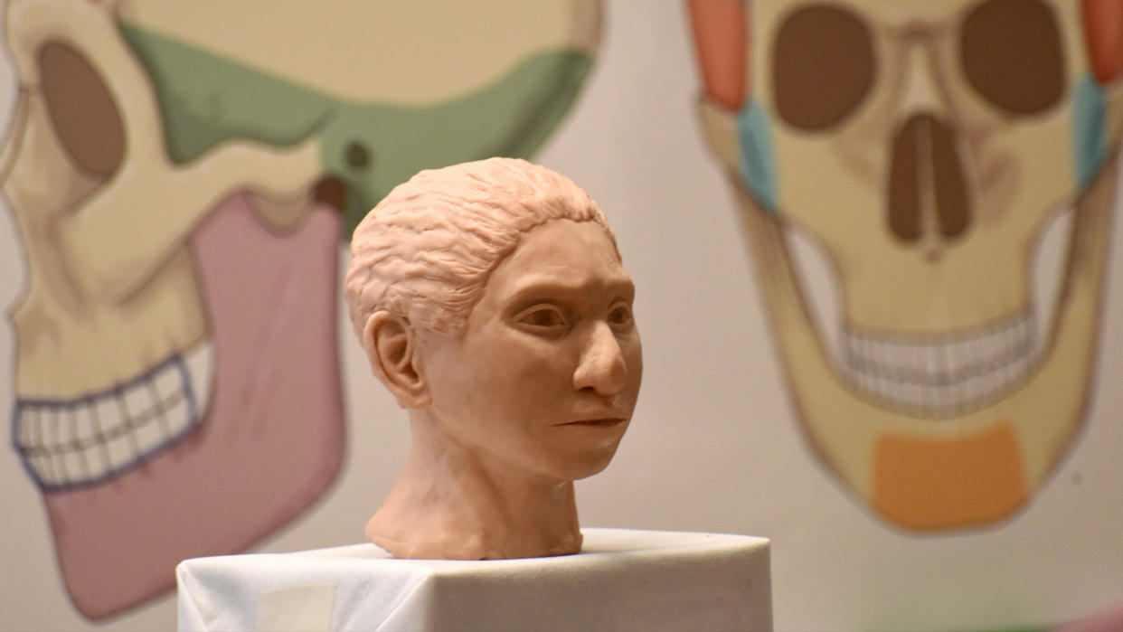  A close-up of the 3D printed reconstruction of a female Denisovan clay bust on a white stand in a museum. 