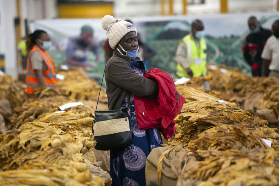 A tobacco grower waits patiently for her tobacco crop to be sold at the auction floor in Harare, Thursday, April 8, 2021. Zimbabwe’s tobacco is flourishing again. And so are the auctions where merchants are fetching premium prices for the “golden leaf” that is exported around the world. Many of the small-scale farmers complain they are being impoverished by middlemen merchants who are luring them into a debt trap. (AP Photo/Tsvangirayi Mukwazhi)