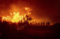 Firefighters battle the Sugar Fire, part of the Beckwourth Complex Fire, in Doyle, Calif., on July 9, 2021. (AP Photo/Noah Berger)