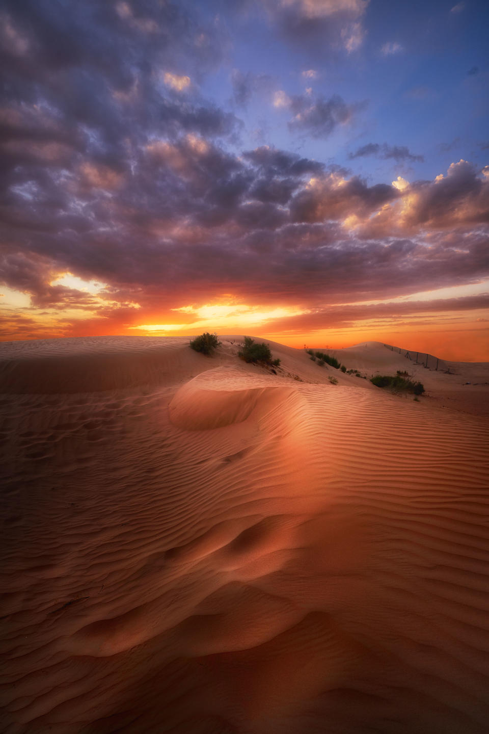 Sea of sand – Beautiful photos of Dubai’s deserts