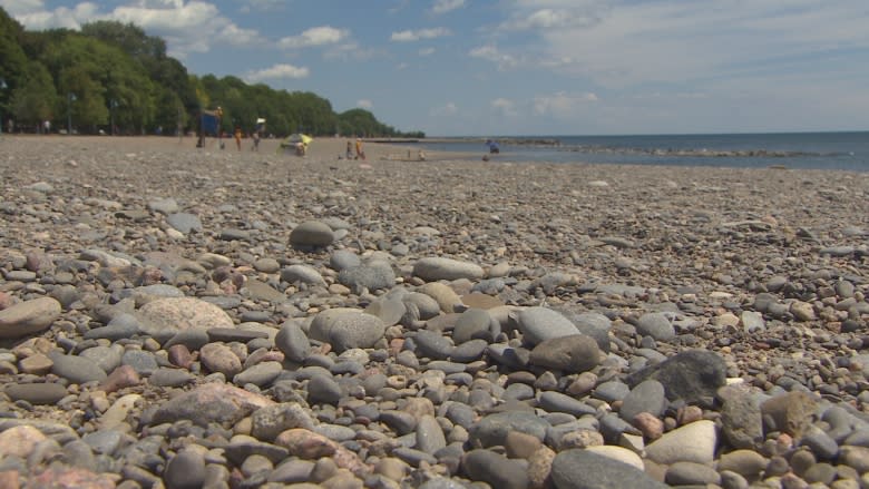 Rising water line in The Beach 'normal' - but all is not well on Toronto's shore