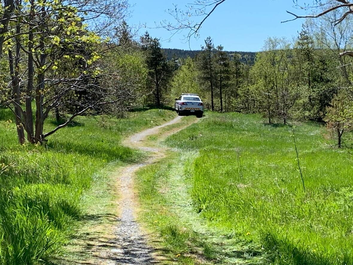 Police were called to a wooded area on May 30 after human remains were found in a part of Waterford Valley. (Ted Dillon/CBC - image credit)