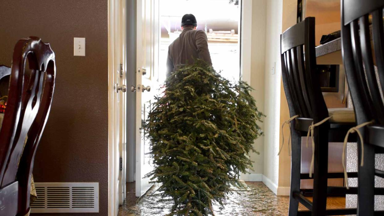 A man taking out christmas tree