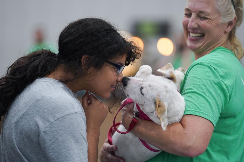 It was love at first...sniff?! Check out the Brandywine Valley SPCA's Mega Adoption Event on Dec. 10 and Dec. 11, 2022 to find your new furry friend.