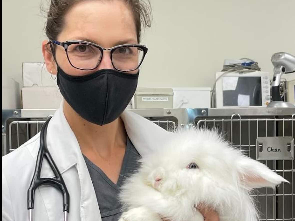 Dr. Jamie McGill Worsley of Forest Veterinary Clinic in Forest, Ont., shown with a pet rabbit at her clinic. McGill Worsley has strengthened disinfection protocols at her clinic because of RHDV-2. (Submitted by Jamie McGill Worsley  - image credit)
