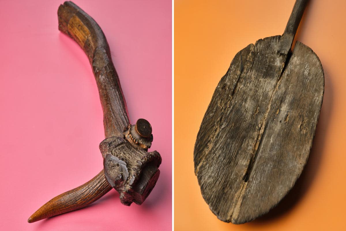 Royal Cornwall Museum has revealed the existence of the oldest Bronze Age mining tools ever found in Europe <i>(Image: Royal Cornwall Museum)</i>