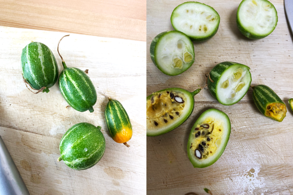 另外有其他網友也留言分享自己用同樣方式種出的西瓜，但結果不是這麼美好，勉強舔了一口說是這世上最苦的東西。（翻攝推特@ai_cheRu）
