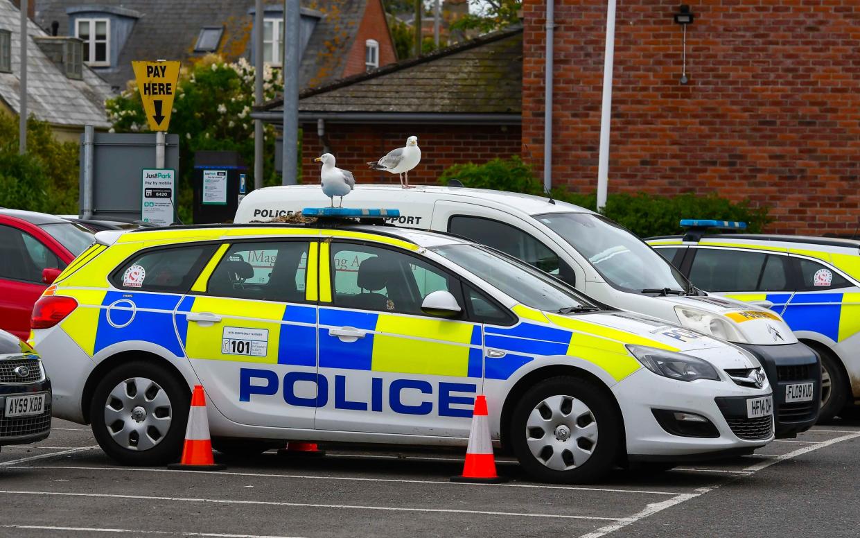 Officers are unable to clear the clump of twigs and branches because - as they well know - it is illegal to damage or destroy a birds' nest - Graham Hunt 