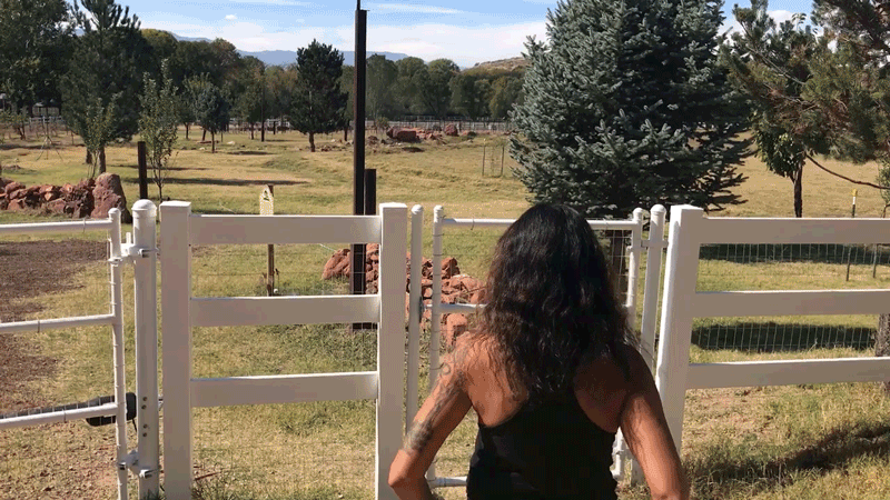 Joanne Cacciatore enters the property of the Selah care farm, just outside of Sedona, Ariz. (Photo: Caitlin O’Hara for Yahoo Lifestyle)