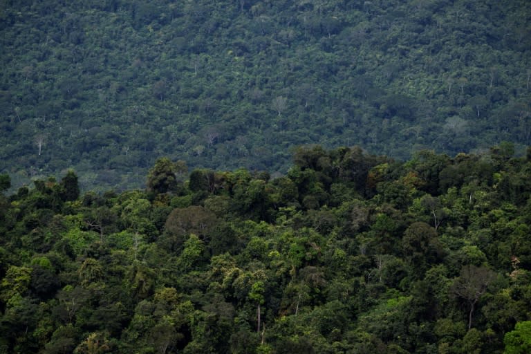 Les députés brésiliens ont voté un projet de loi limitant la démarcation des terres indigènes, un revers pour le président Luiz Inacio Lula da Silva qui avait relancé la politique de protection des peuples autochtones et de l'Amazonie (AFP - MAURO PIMENTEL)
