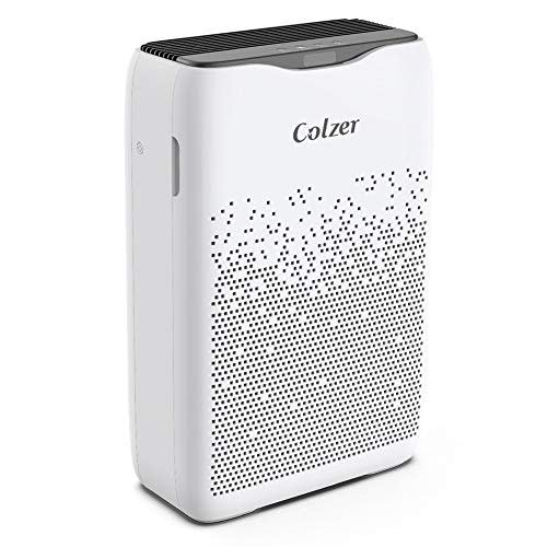 Colzer Air Purifier with True HEPA Air Filter (Amazon / Amazon)