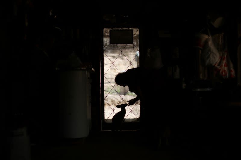 The Wider Image: At home with couple who saved baby kangaroos from the fires