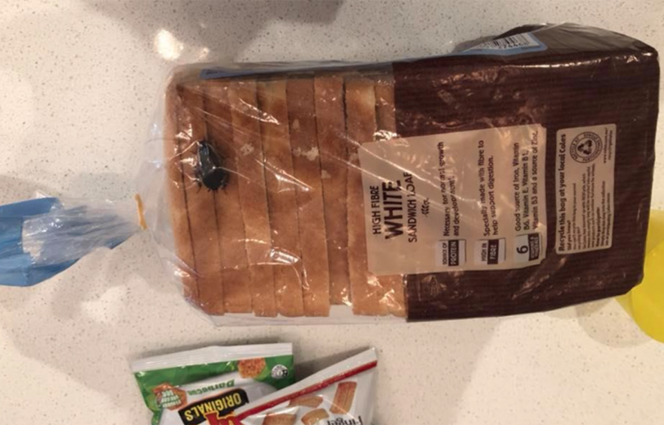 A Melbourne dad has told Coles to lift its quality control standards after he claims to have found a live cockroach in his bag of sliced bread. 