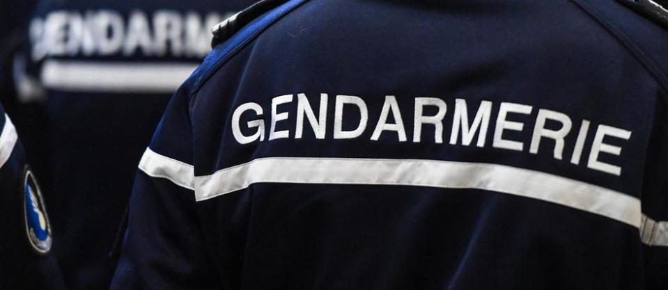 Les gendarmes des Vosges étaient remontés sur Facebook. (Photo d'illustration)
