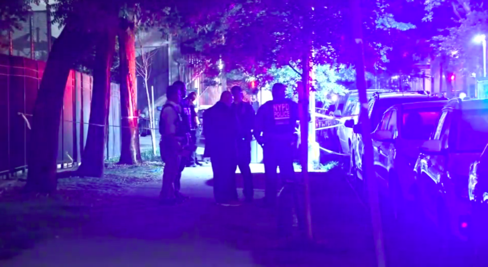 Authorities on the Upper East Side in New York block off the scene where the young mother was shot and killed while pushing a stroller (ABC 7 New York/Video screengrab)