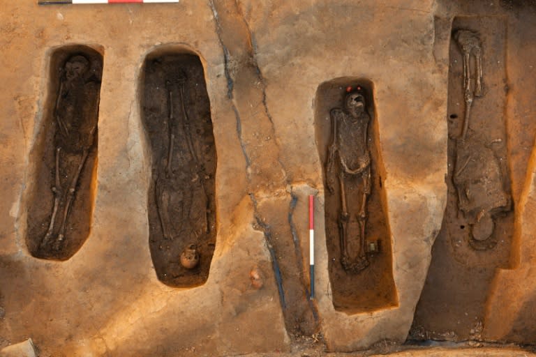 A Smithsonian Institution photo from July 28, 2015 shows the bones of four of the early leaders of Virginias's Jamestown settlement at an archeological dig in Jamestown, Virginia