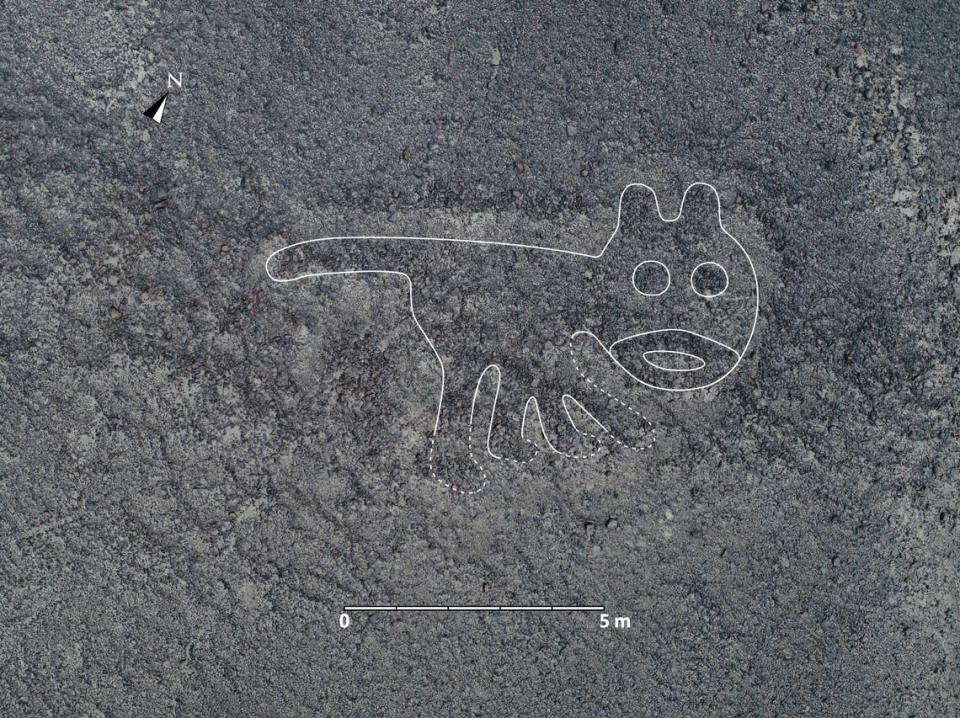 Cat Image in Nazca, Peru Desert