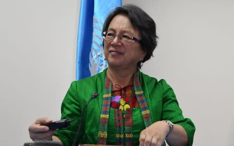 The UN Special Rapporteur on the rights of indigenous peoples Victoria Tauli-Corpuz claims her life is under threat - Credit: ORLANDO SIERRA/ AFP