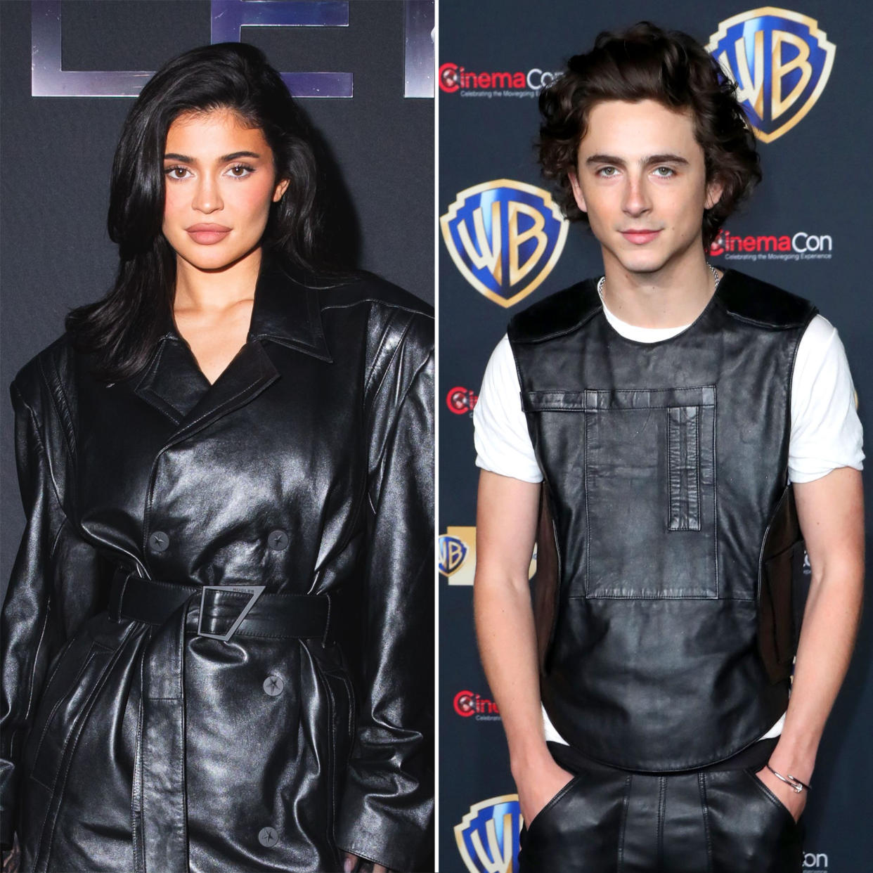 Kylie Jenner and Timothee Chalamet Spotted Together for the 1st Time Amid New Romance