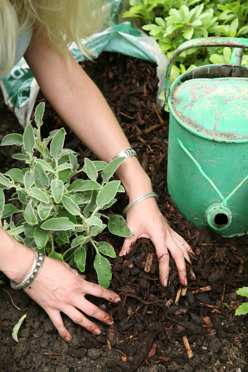 26. Remember to mulch