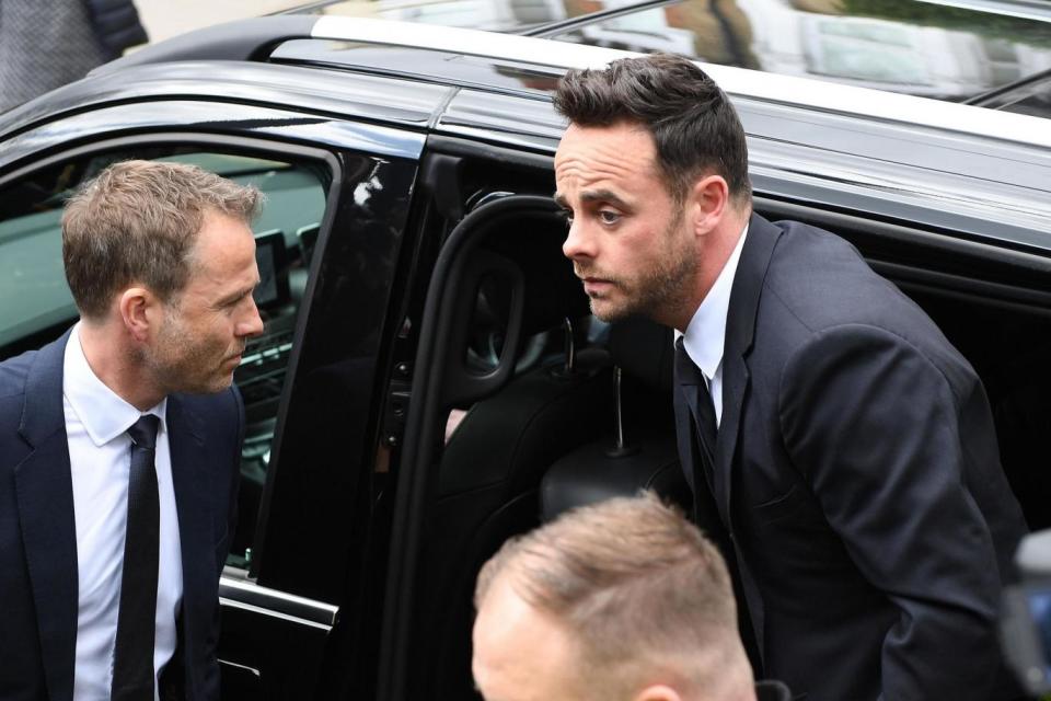 McPartlin has said he is