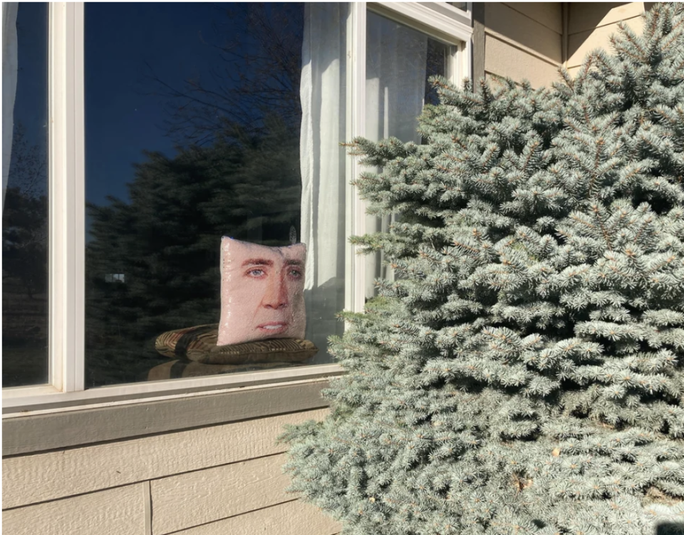 A Nicolas Cage pillow in someone's window