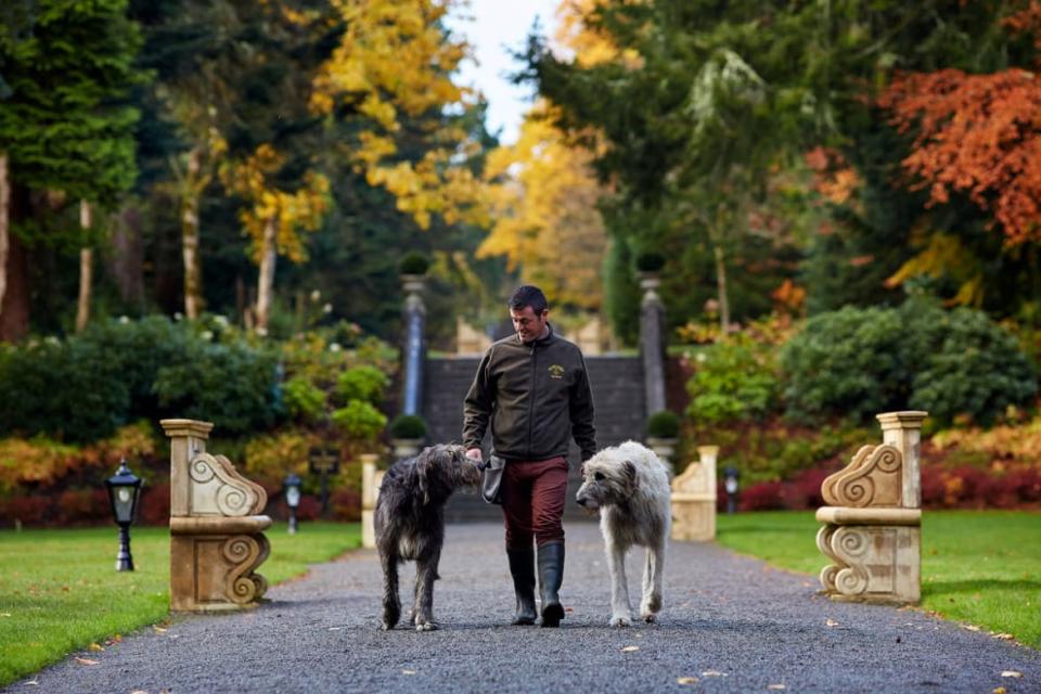 <div class="inline-image__credit">Ashford Castle</div>