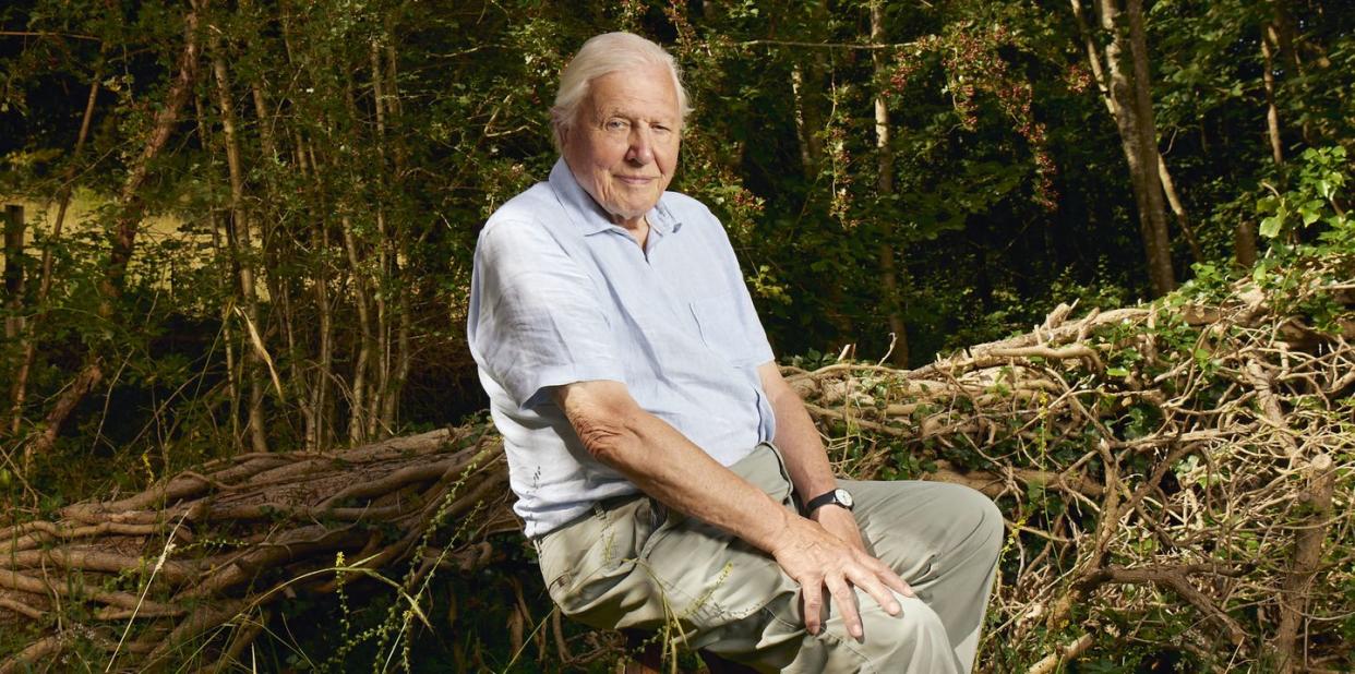 sir david attenborough, planet earth iii