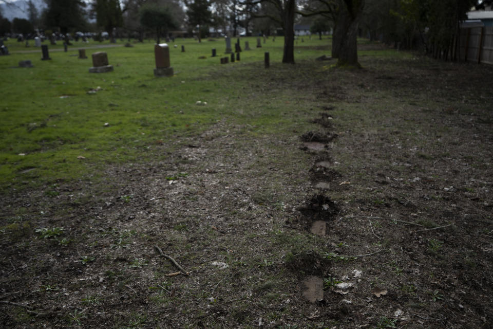 Headstones, some belonging to those who died at Morningside Hospital, are seen in Multnomah Park Cemetery on Wednesday, March 13, 2024, in Portland, Ore. Cordingley has volunteered at his neighborhood cemetery for about 15 years. He's done everything from cleaning headstones to trying to decipher obscure burial records. He has documented Portland burial sites — Multnomah Park and Greenwood Hills cemeteries — have the most Lost Alaskans, and obtained about 1,200 death certificates. (AP Photo/Jenny Kane)