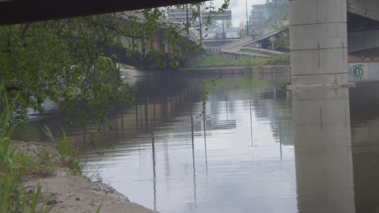 Half of Toronto Islands homes still at risk of flooding