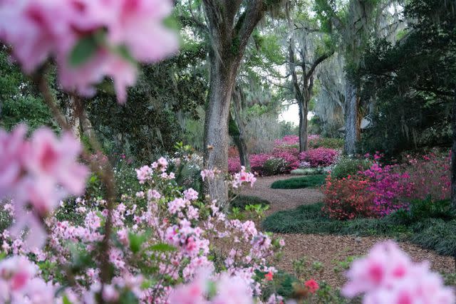 <p>Courtesy Bok Tower Gardens</p>